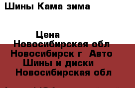 Шины Кама зима 175/70/13 › Цена ­ 6 000 - Новосибирская обл., Новосибирск г. Авто » Шины и диски   . Новосибирская обл.